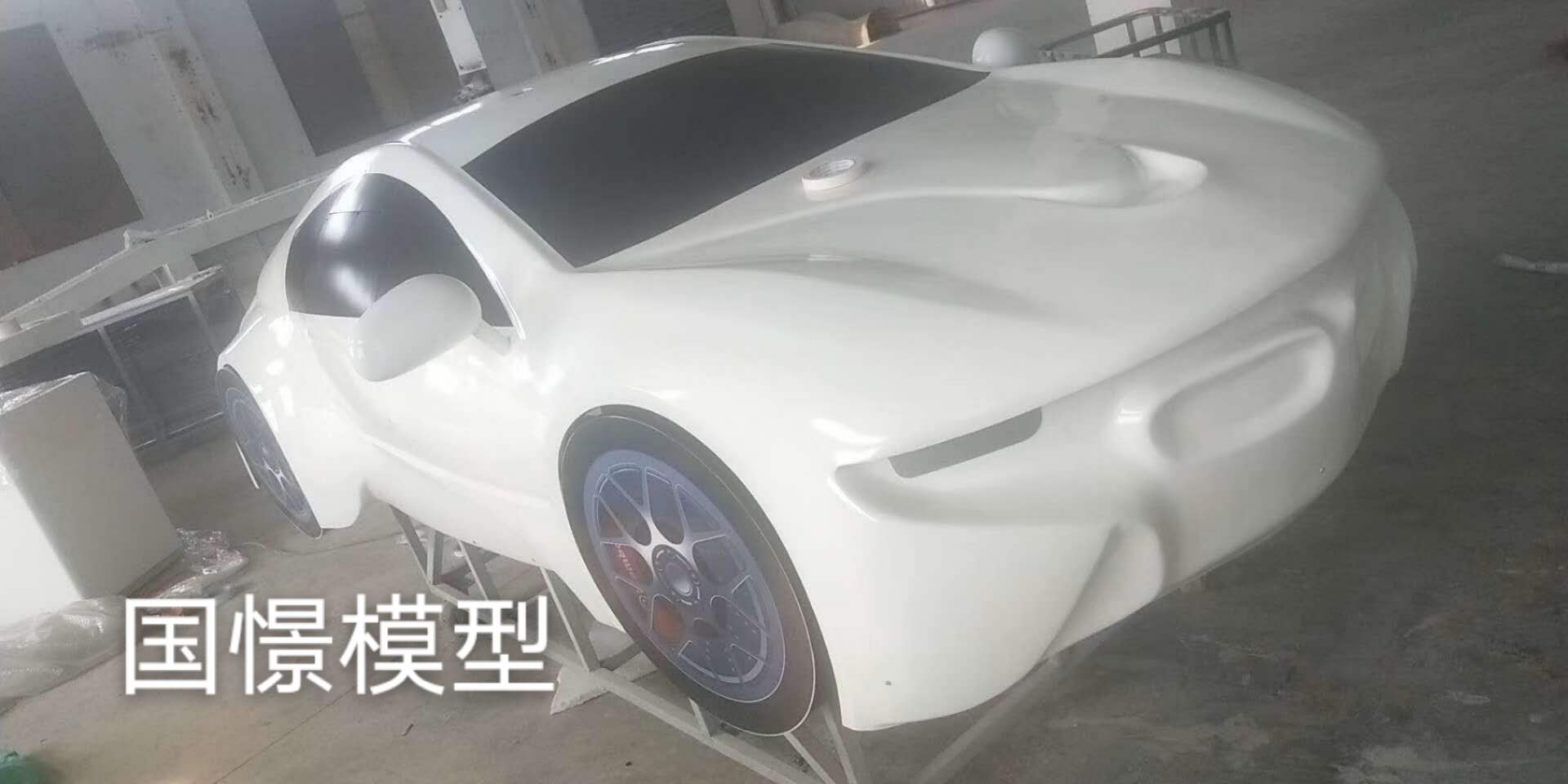枣阳市车辆模型